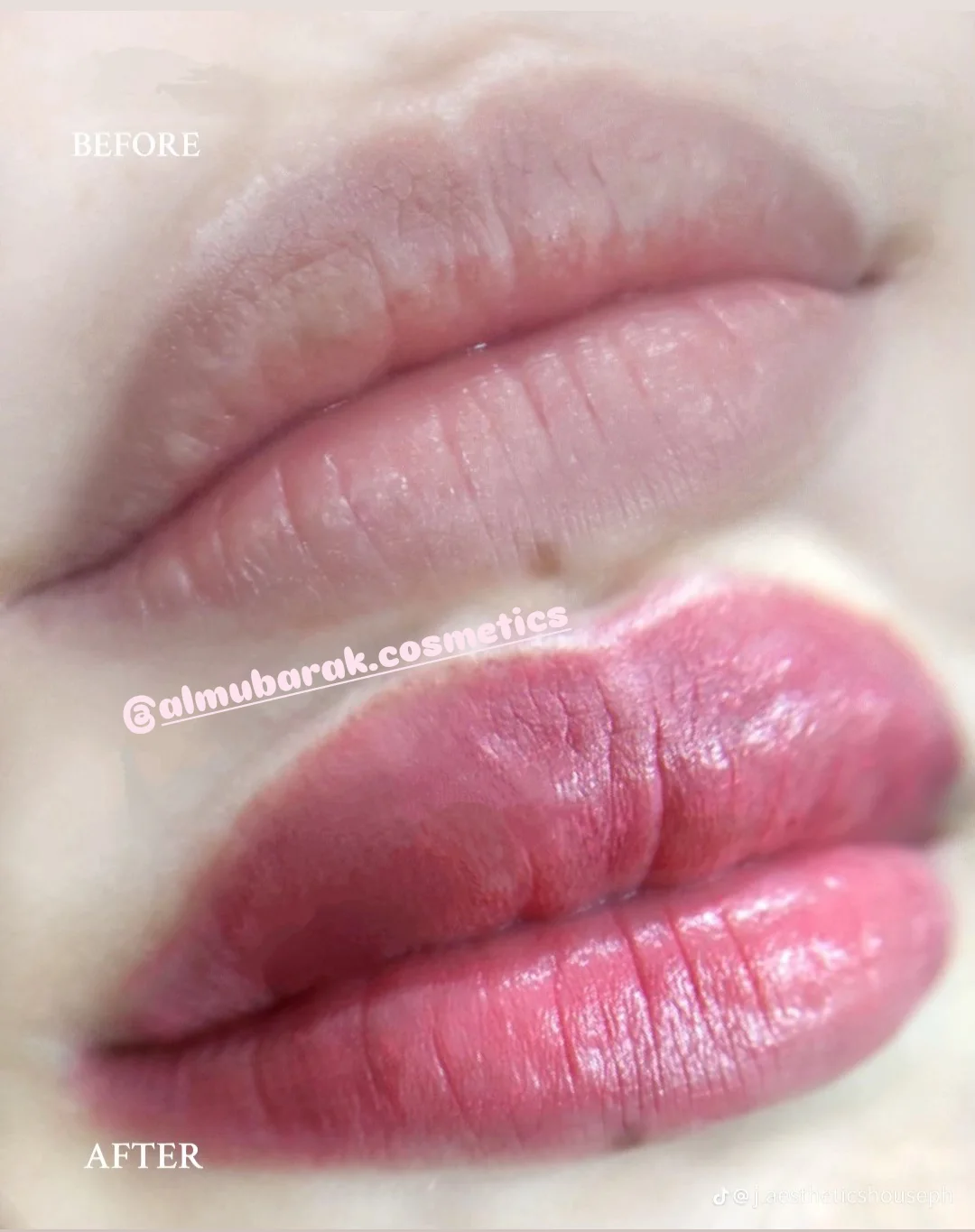 Screenshot_20251126-133944 (1)